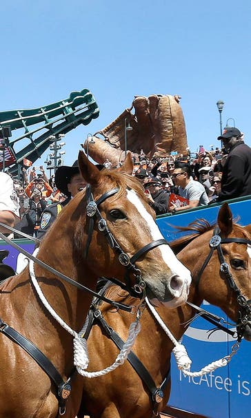 Bumgarner delivers Giants championship flag on horseback